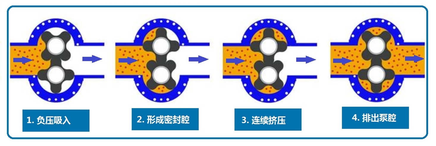 转子泵工作原理1.jpg