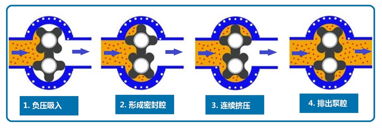 转子泵工作原理.jpg